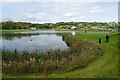 ST3691 : Celtic Manor Golf Course by Kevin Williams