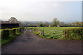 Motcombe Meadows, Dorset