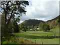 Valley pasture north-west of Beulah, Powys