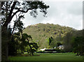 Pasture and woodland north-west of Beulah, Powys