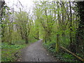 Track leading down into Buriton Chalkpit