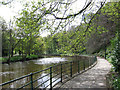 Morpeth - west bank of River Wansbeck