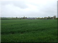 Farmland near Scredington