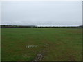 Farmland near Scredington