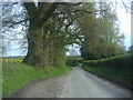 Petersfield Road between Petersfield and Buriton