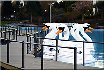 J5082 : The 'Pickie Swans', Bangor by Rossographer