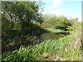 Chesterfield Canal at Norwood 