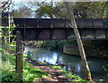 Old Rail Bridge