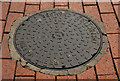 Brett Martin inspection cover, Belfast (2)