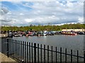 Shireoaks Marina 