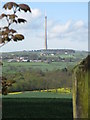 SE2113 : Emley Moor TV mast by Dave Pickersgill