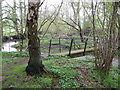 Metal footbridge over the Habberley Brook