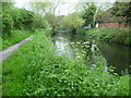 River Wandle near Poulter Park