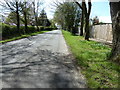 Fernhurst Road entering Milland