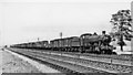 Southbound WR freight at Naas Crossing, near Haresfield