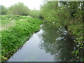 River Wandle from footbridge near Buckhurst Avenue