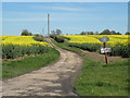 The approach to Palgrave Farm