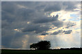 SK1561 : Bush, clouds and sun beams by David Lally