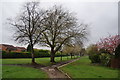 Green space between the housing estates