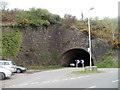 Grade II listed The Big Arch, Abersychan