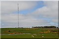 NT5029 : Transmitter mast, Lindean by Jim Barton