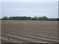 Farmland near Marston