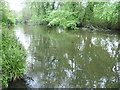 River Wandle in Ravensbury Park