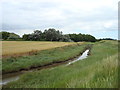 Copse and Borrowdyke