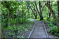 The Acorn Venture Farm - Acorns Woodland Walk