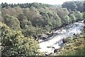 Water of Minnoch at Borgan in the Wood of Cree