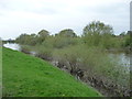 View to an eyot at Pimley near Monkmoor, Shrewsbury