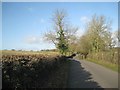 SP1167 : Ash trees line Forde Hall Lane by Robin Stott
