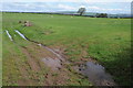 Farmland at Brilley Mountain