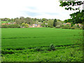 Cottages in Stanton