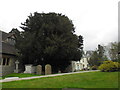 St Peter, Farnborough: churchyard (9)