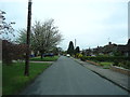 Daux Avenue, Billingshurst