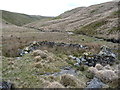SN8656 : Old dry stone sheepfold next to the Afon Gwesyn by Jeremy Bolwell