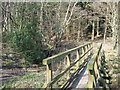 Footbridge  and  Ford  in  Half  Moon  Plantation