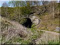 Tunnel in the Railway Embankment