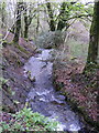 Tributary of Afon Taf