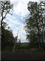 NY4338 : A pylon on the Skelton Transmitting Station by David Purchase