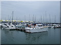 TQ3303 : Boats in Brighton Marina by Paul Gillett