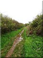 Green lane at Middle Rigg