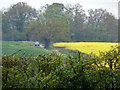 TL2616 : Car Travelling down White Horse Lane, Burnham Green, Hertfordshire by Christine Matthews