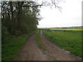 Robin Hood Lane alongside Roe Wood