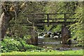 Footbridge over Warslow Brook