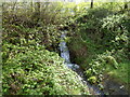 Small waterfall, Abertridwr