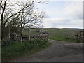 A path heading to Resting Gap