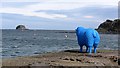 Blue sheep, Sanda