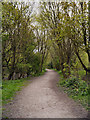 Path in Blackleach Country Park